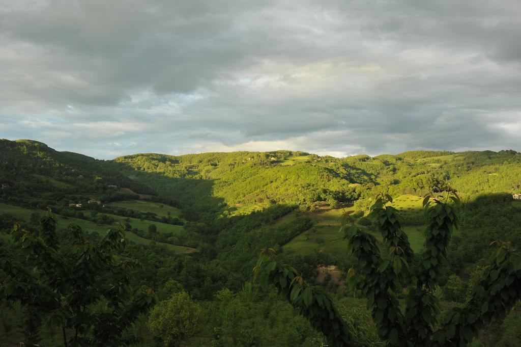 Agriturismo Paradiso 44 Assisi Eksteriør billede