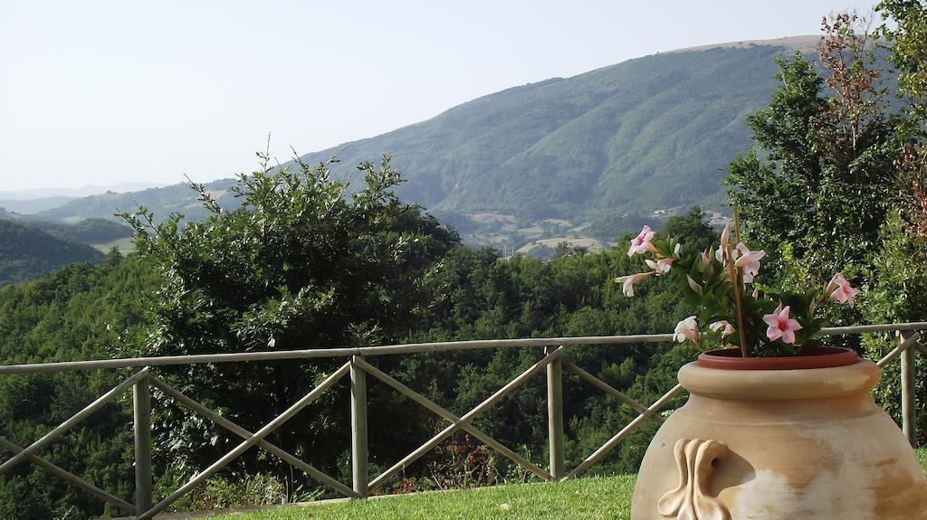 Agriturismo Paradiso 44 Assisi Eksteriør billede