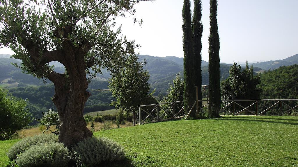 Agriturismo Paradiso 44 Assisi Eksteriør billede