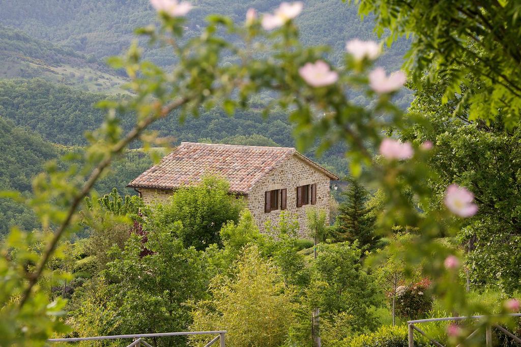 Agriturismo Paradiso 44 Assisi Eksteriør billede